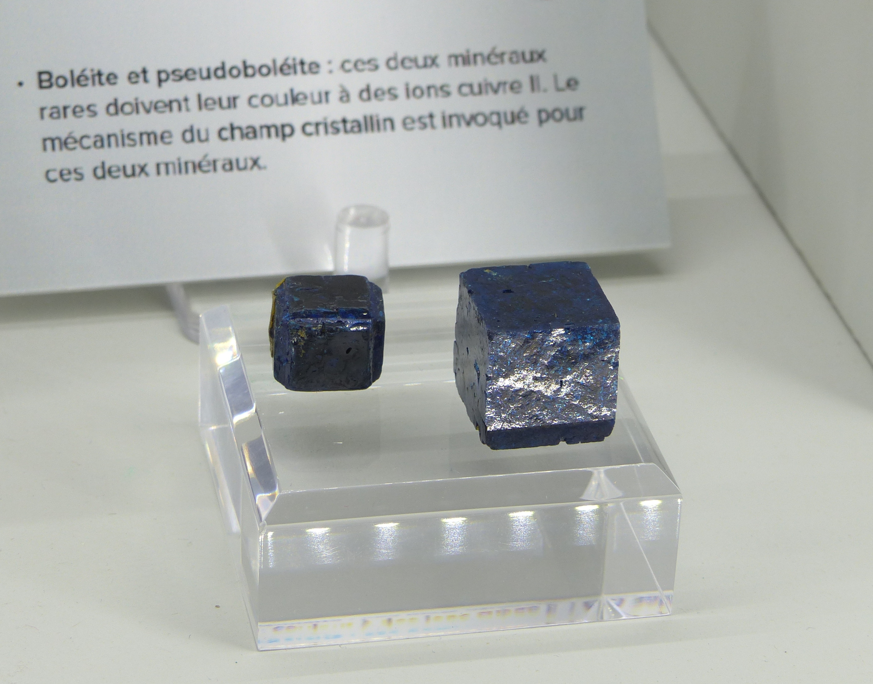 P1080309-.jpg