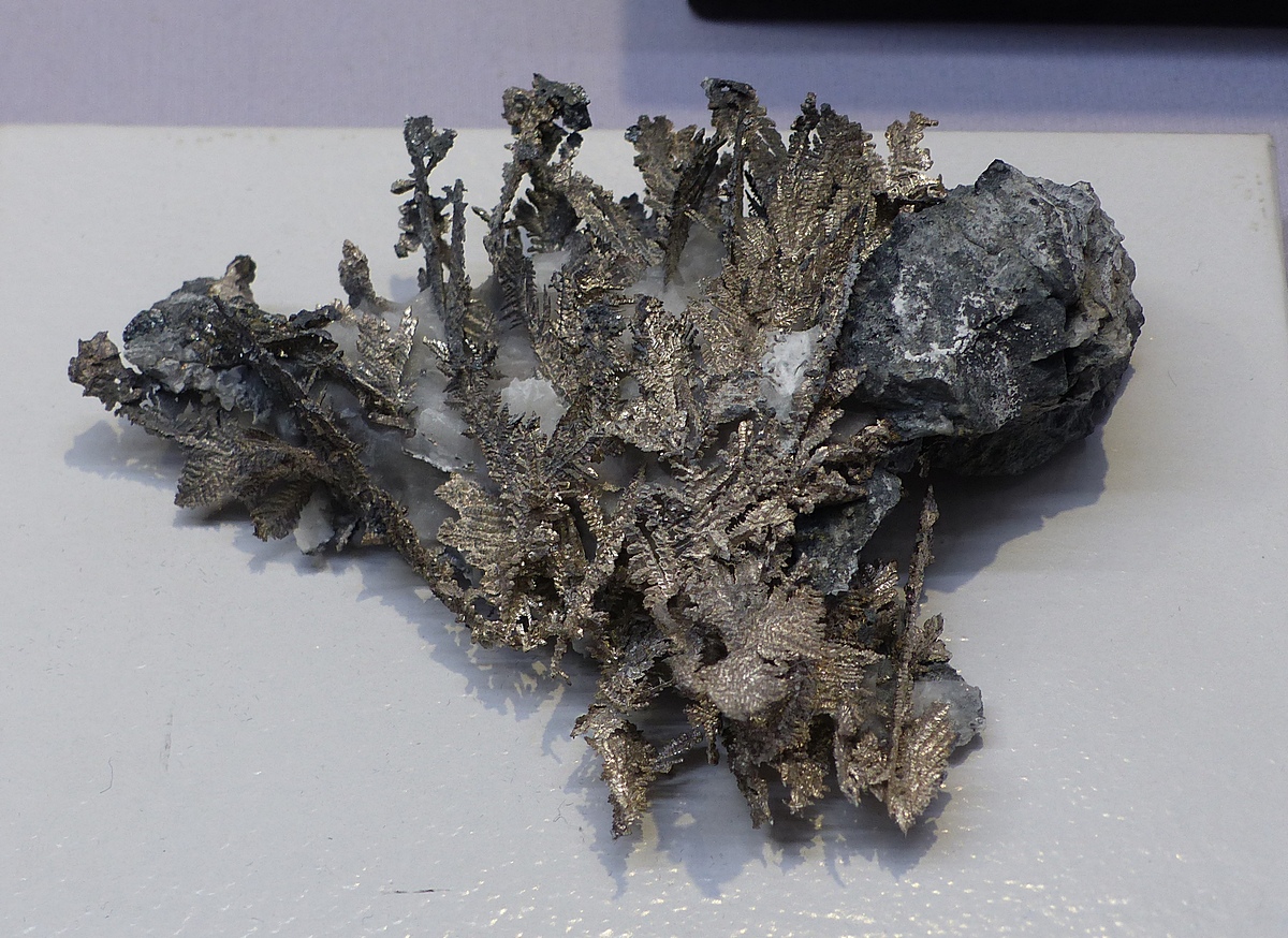 P1090690-.jpg