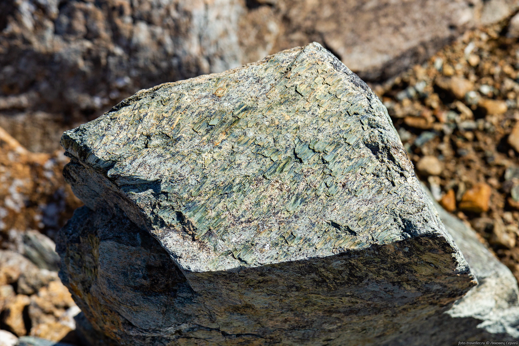 114.jpg