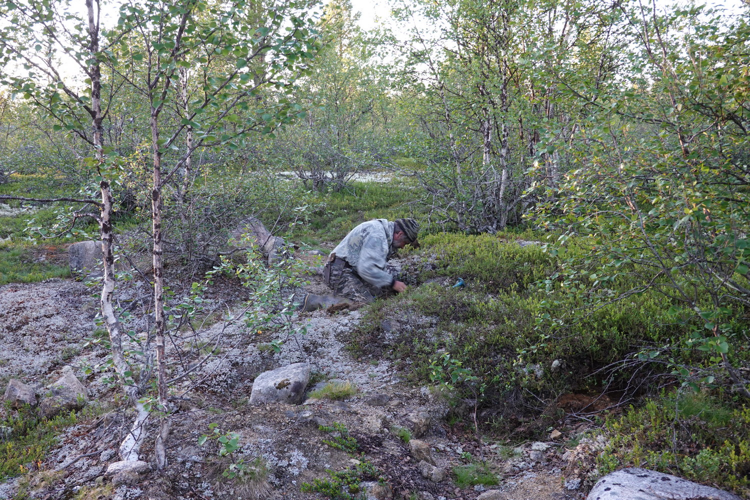 DSC00697-.JPG