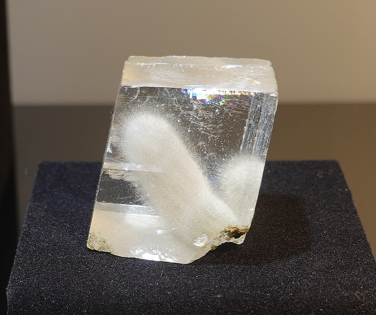 DSC09534---.JPG