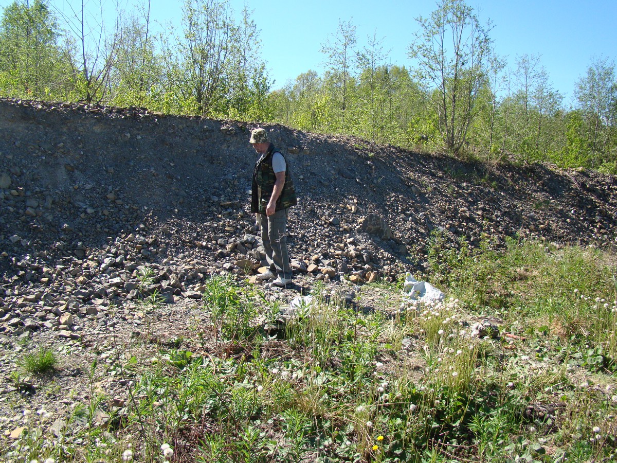 Image006.jpg