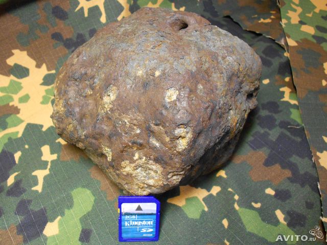 495038284.jpg