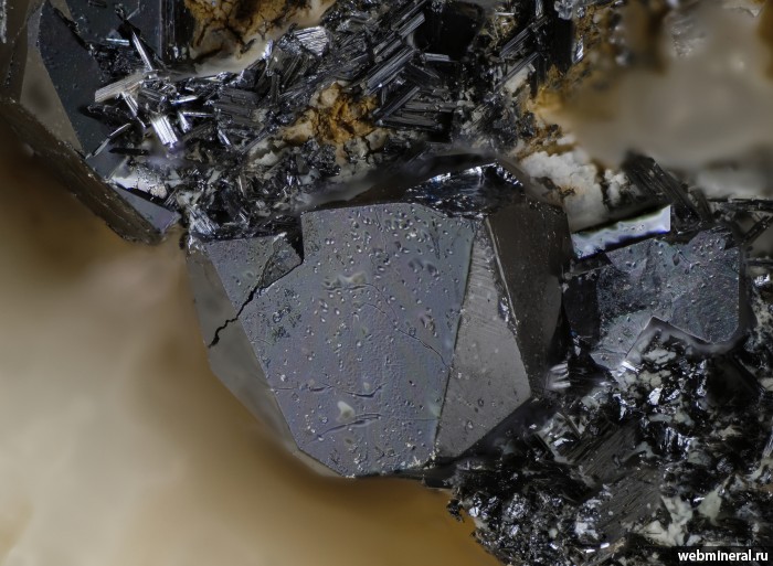 ���������� �������� ������, �����. ��������� ����.