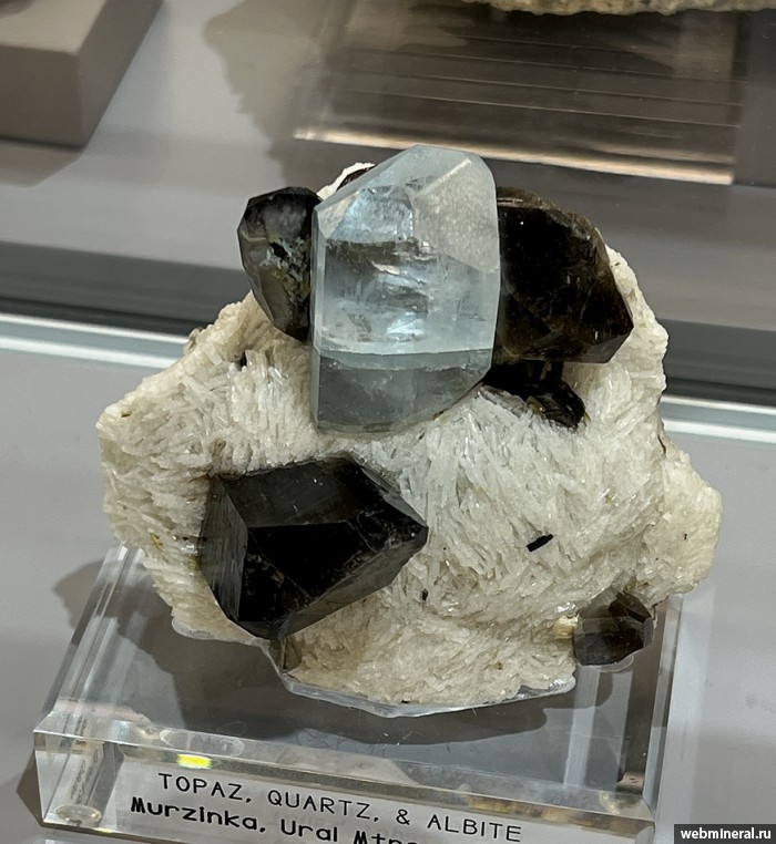 ���������� �������� �����, �����, ������. ��������� ����.