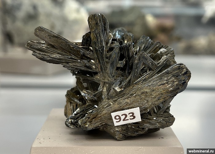 ���������� �������� ø���. ����� � 2.