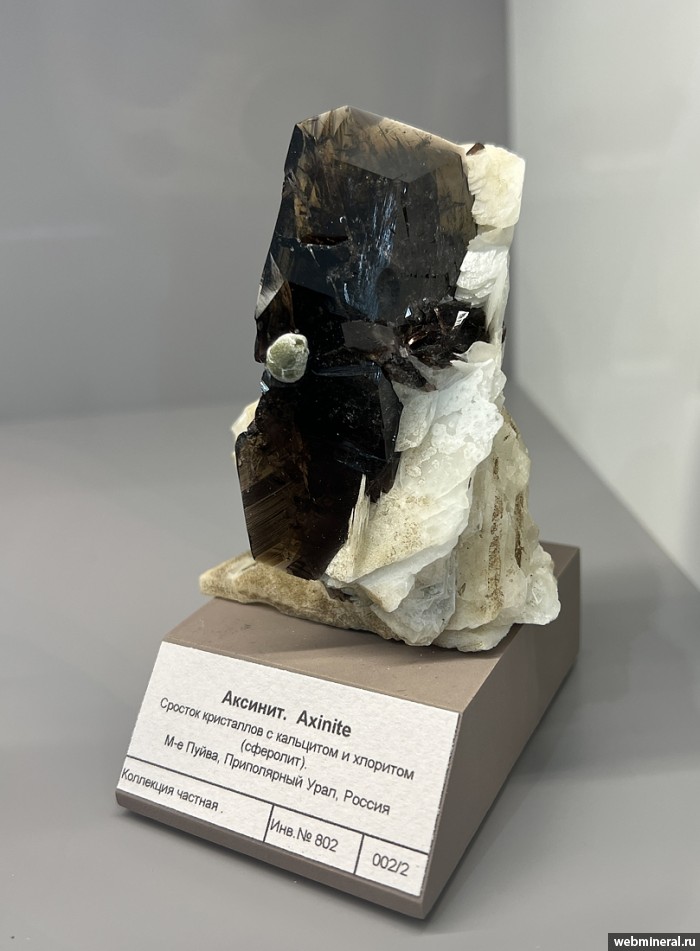 ���������� �������� �������-(Fe), �������, ������. ����� �������������.