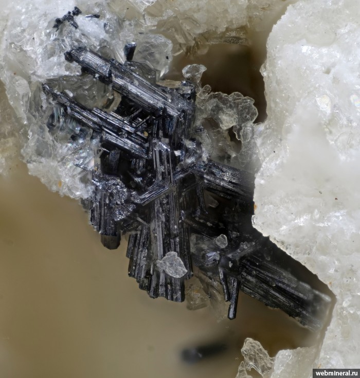 ���������� �������� �����. �������� �������.