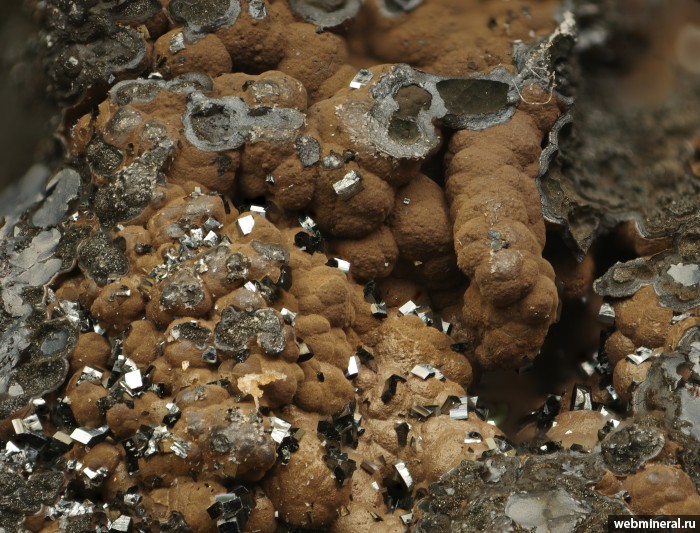 ���������� �������� ��������, �����������. ���������� �������������.