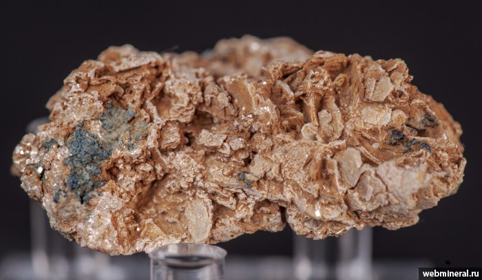 ���������� �������� ���������, �������. �����-���������� �������������.