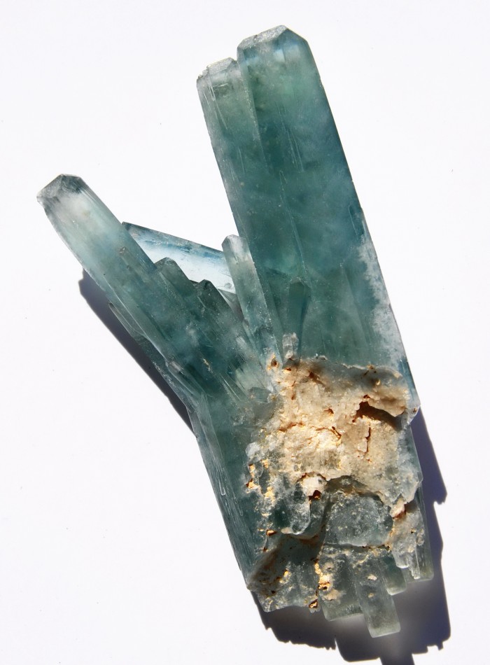 ���������� �������� �����. Stoneham, Weld Co., Colorado, USA (���).