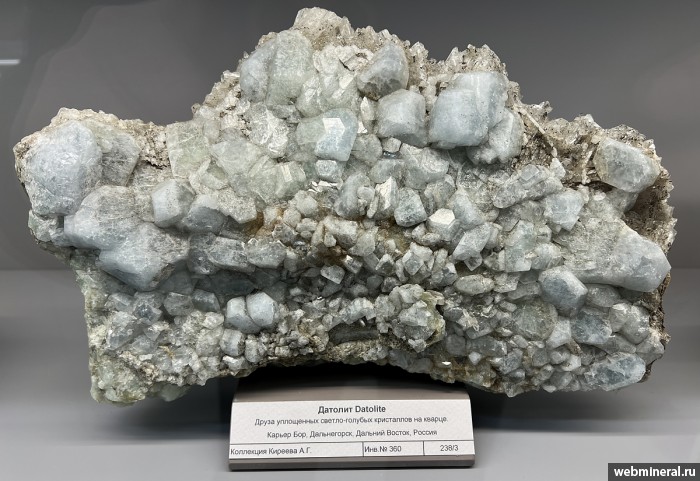 ���������� �������� �������. ��� ������.