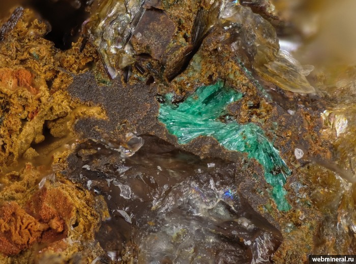 ���������� �������� ��������, �������. ����������� (W-Mo) �������������.