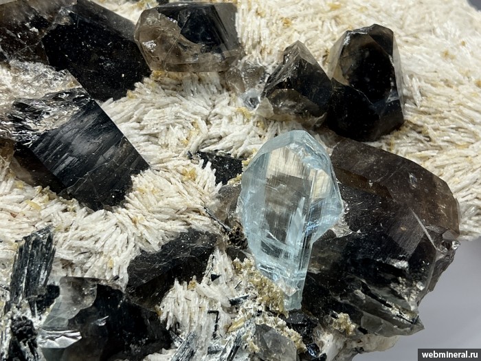 ���������� �������� �����, �����, ������, ��������, ����. ��������� ����.