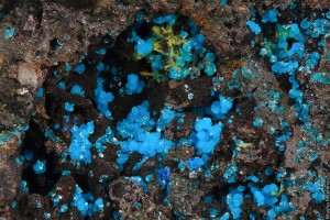 .  (Au) .   . webmineral.ru