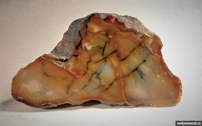 ���������� �������� ����� ����. (��������). ������ �������������.