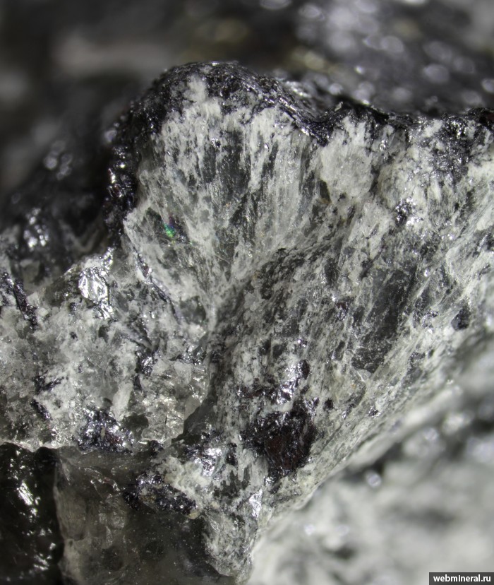 ���������� �������� ������, ����������. ������� ����������.