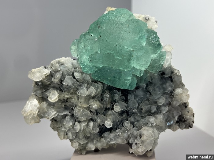 ���������� �������� �������, �������. 2-� ��������� ������.