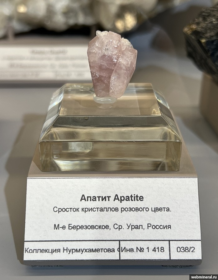 ���������� �������� ����������. ���������� (Au) ������������� (������ ����).