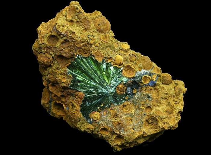 ���������� �������� ��������. ���������� �������.