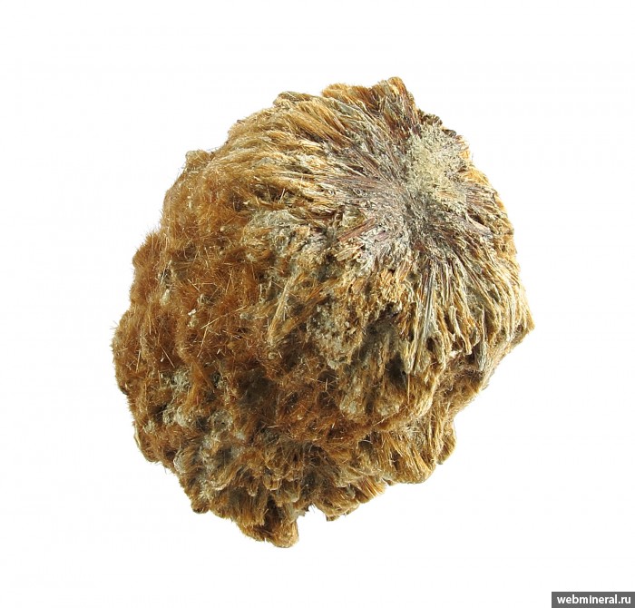 ���������� �������� �����������. ��� ��������.