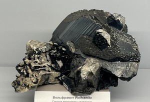 ����������, �����, ������� (W-Mo) �������������. �������� � �������������. webmineral.ru