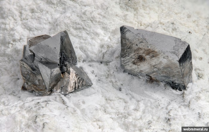 ���������� �������� �����������. ��� ������.