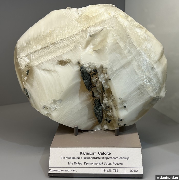 ���������� �������� �������. ����� �������������.