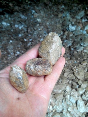 ������� ��� �������������