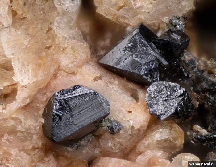 ���������� �������� ������. ���� � 37.