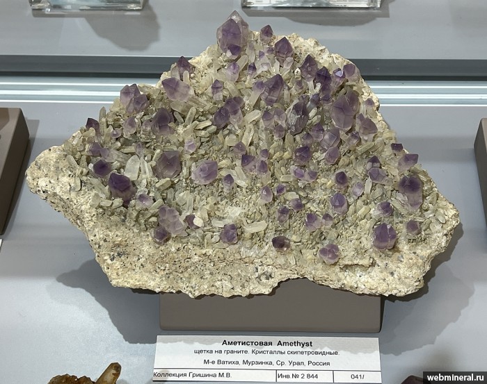 ���������� �������� ����� ����. (�������). ������ �������������.