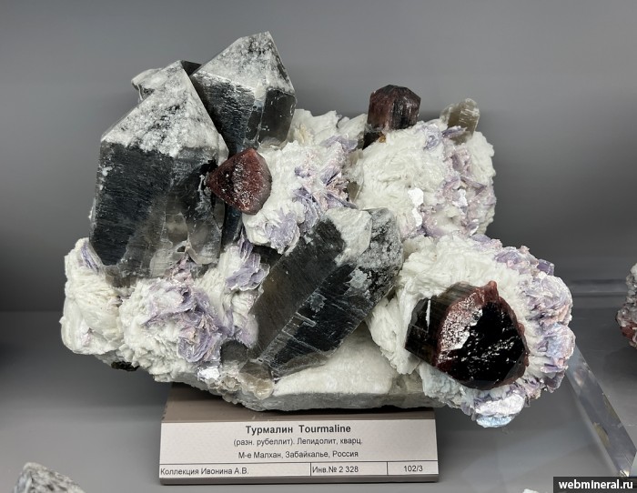 ���������� �������� �������, �����, ������, ���������. ������� ����.