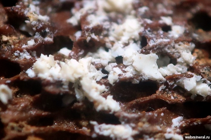 ���������� �������� ���������������. ������� ������.