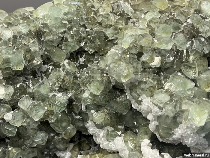 ���������� �������� �������, �������. ��� ������.