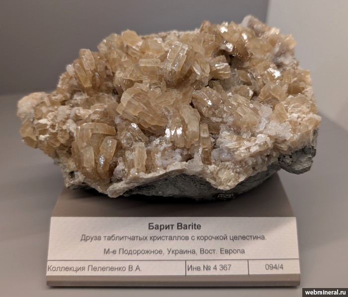 ���������� �������� �����. �������������� (S) �������������.