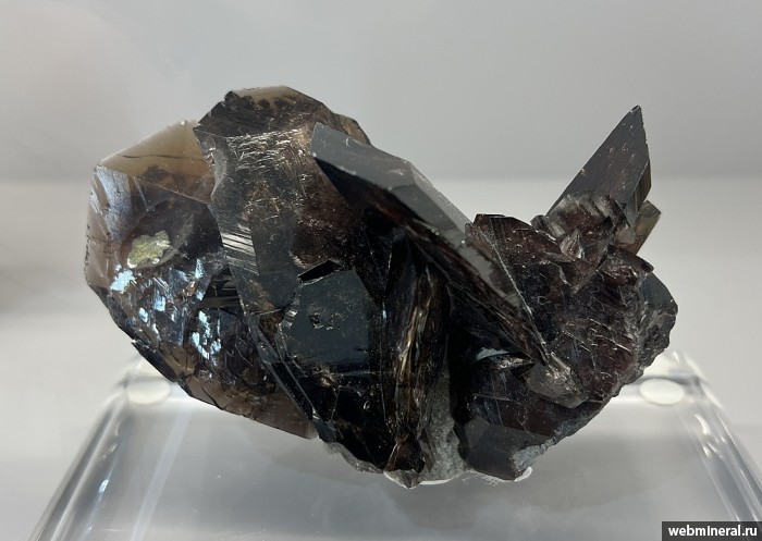 ���������� �������� �������-(Fe). ����� �������������.