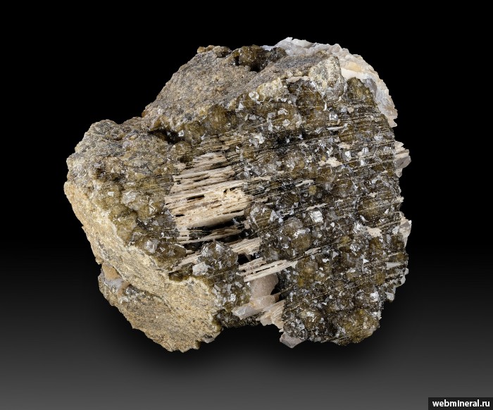 ���������� �������� ��������. ��� ������.