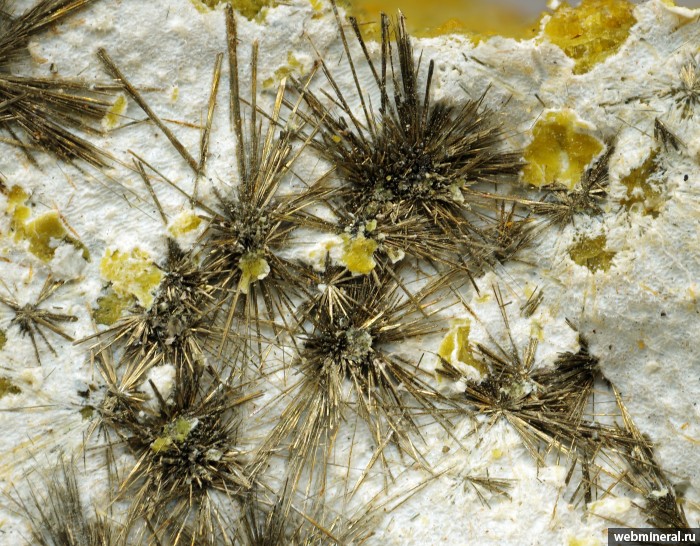 ���������� �������� ��������. ��������� ��������� ������.