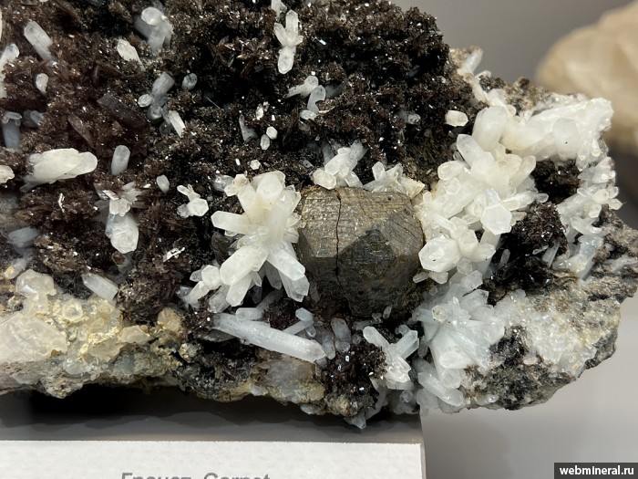 ���������� �������� ��������, �����, �������-(Mn). ������������ ������.