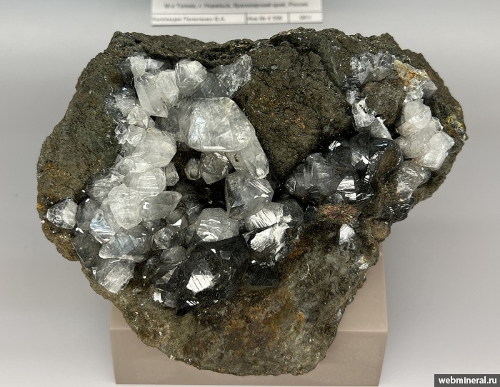 ���������� �������� �������, �������. ���������� ������ ���� (����� ������).