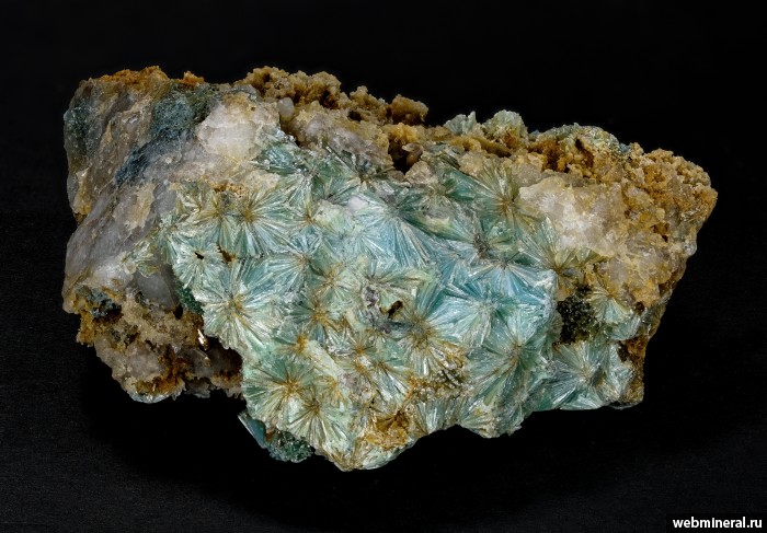 ���������� �������� ����������. �������������� ���� (���������� �������������).