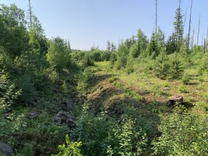  .  .   . webmineral.ru