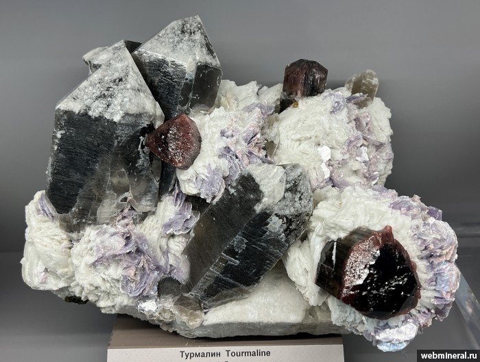 ���������� �������� �������, �����, ������, ���������. ������� ����.