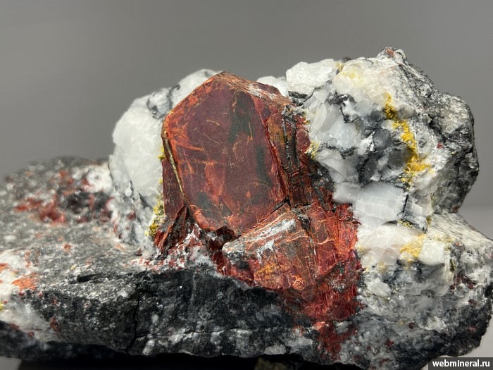 ���������� �������� ���������, �������, �����������. ��������� (Hg) �������������.