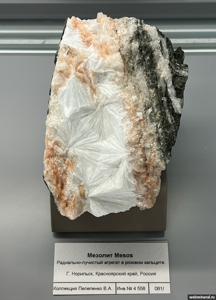 ���������� �������� �������. ���������� ������ ���� (����� ������).