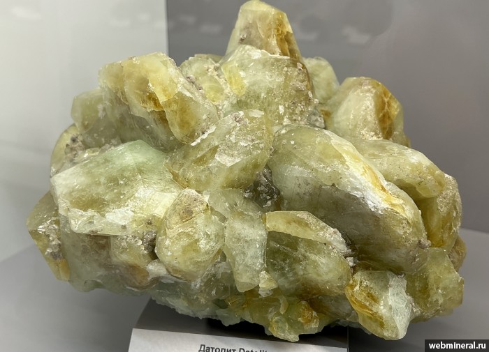 ���������� �������� �������. ��� ������.