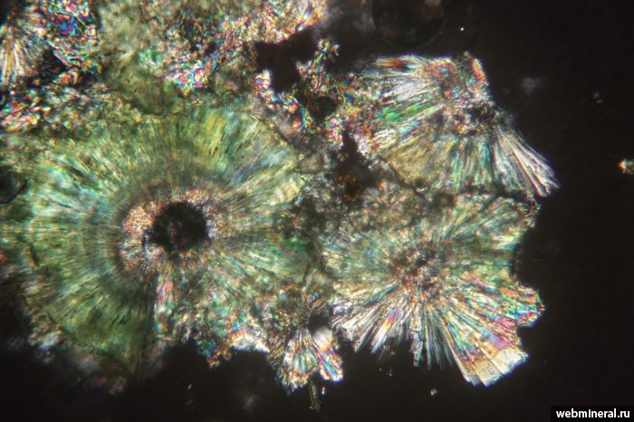 ���������� �������� ��������������, ���������. �����-������-����� ����������.