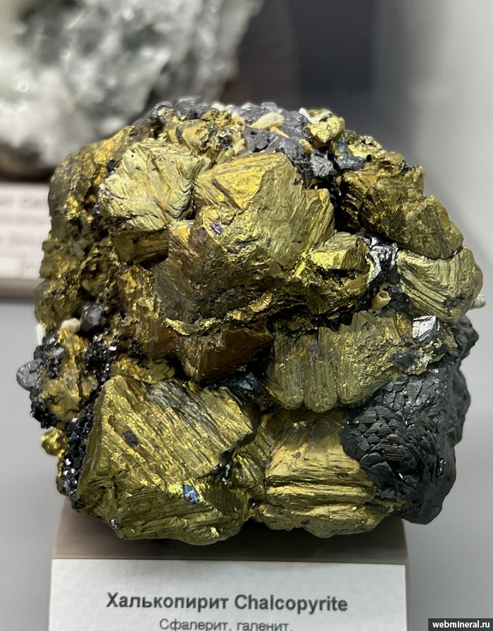 ���������� �������� �����������, ��������, �������. ������������ ������.