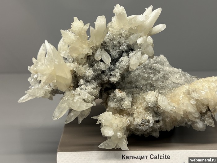 ���������� �������� �������. ����� (S) �������������.