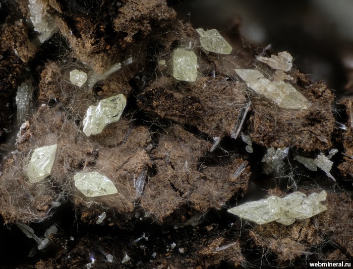 ���������� �������� ����, ����. �����-���������� �������������.